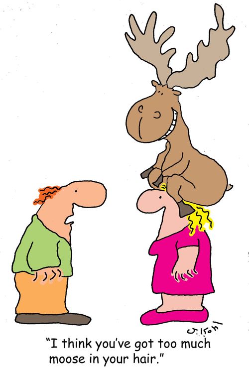 "I think you've got too much moose in your hair."