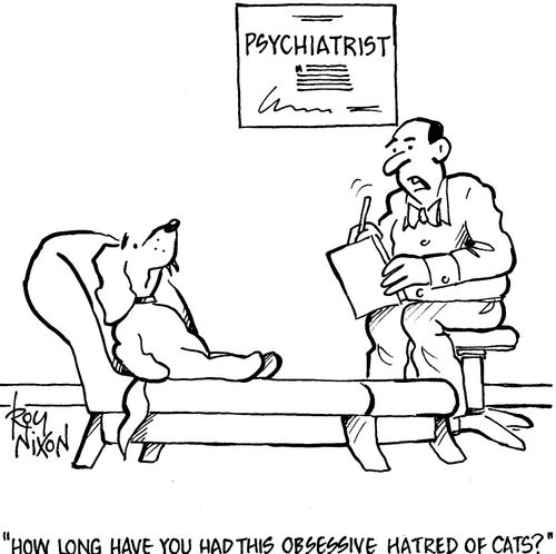 'How long have you had this obsessive hatred of cats?'