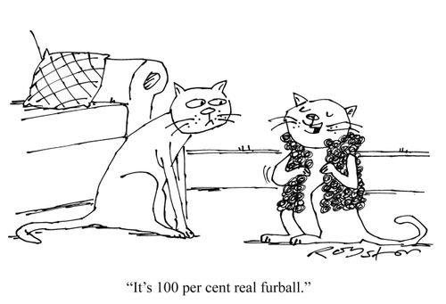 Cat wears jacket: "It's 100 per cent real furball."