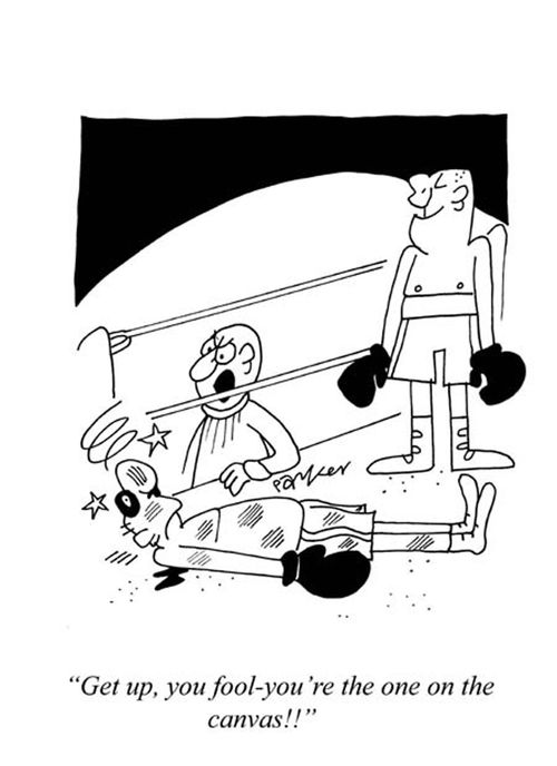'Get up,you fool-you're the one who's on the canvas!'