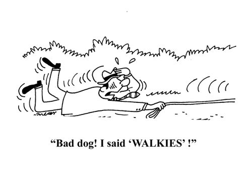 'Bad dog- I said WALKIES!'