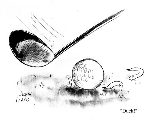 'Duck!'