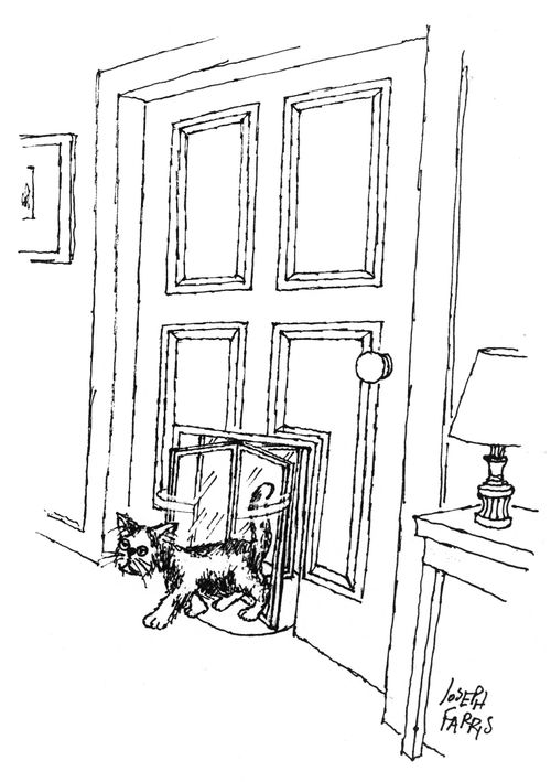 Cat Enters Through Revolving Door.