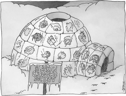 Alaskan Cryogenic Society.