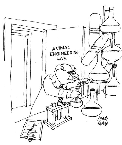 Animal Engineering Lab.