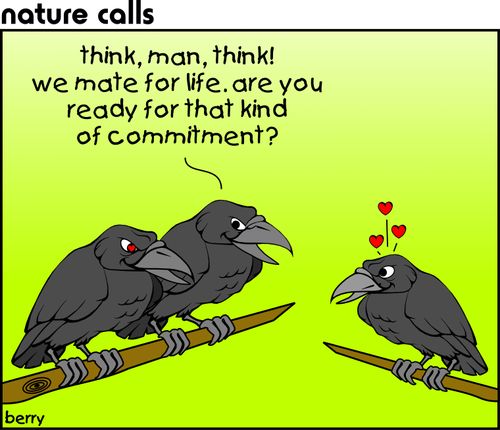 "Think man, think! We mate for life, are you ready for that kind of committment?"