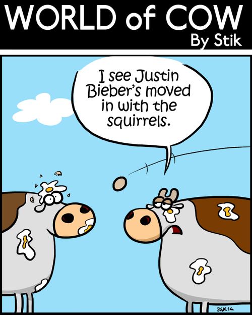 'I see Justin Bieber has moved in with the squirrels.'