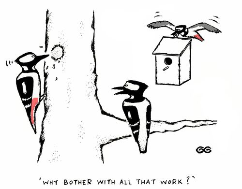 'Why bother with all that work?'