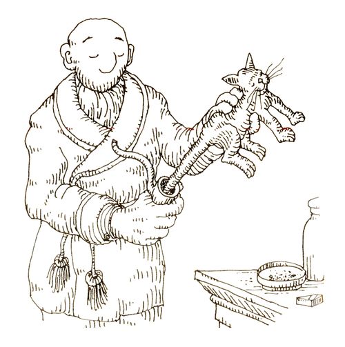 101 uses of a dead cat: pipe tamper.