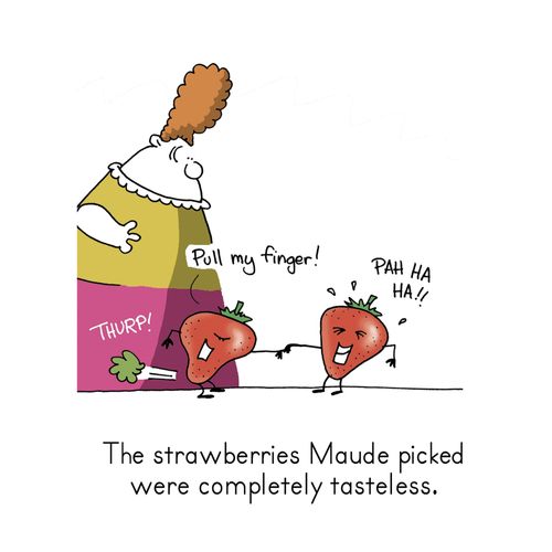 The Strawberries Maude Picked Were Completely tasteless.