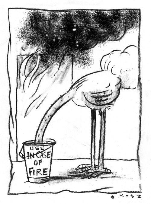 ostrich with head in bucket of sand for putting out fires.