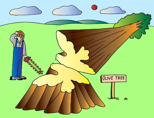 Down Comes the Olive Tree