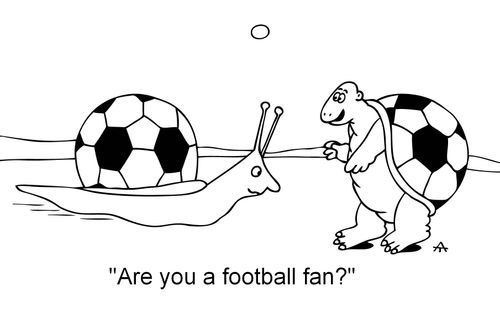 'Are you a football fan?'