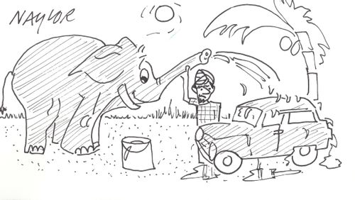 Elephant cleans a car.