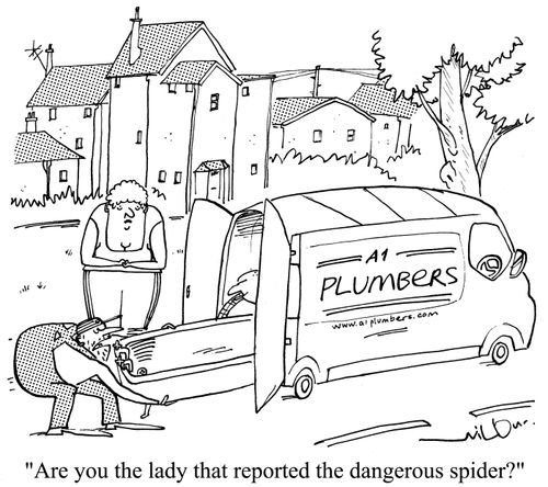 'Are you the lady that reported the dangerous spider?'