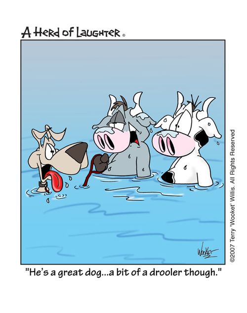 'He's a great dog...a bit of a drooler though.'