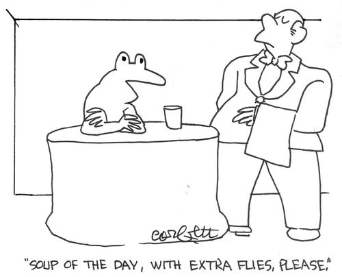'Soup of the day, with extra flies, please.'