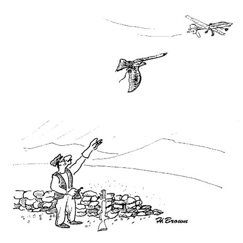 An enemy's counter drone.