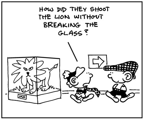 'How did the shoot the lion without breaking the glass?'