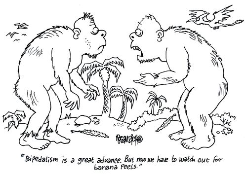 'Bipedalism is a great advance. But now we have to watch out for banana peels.'