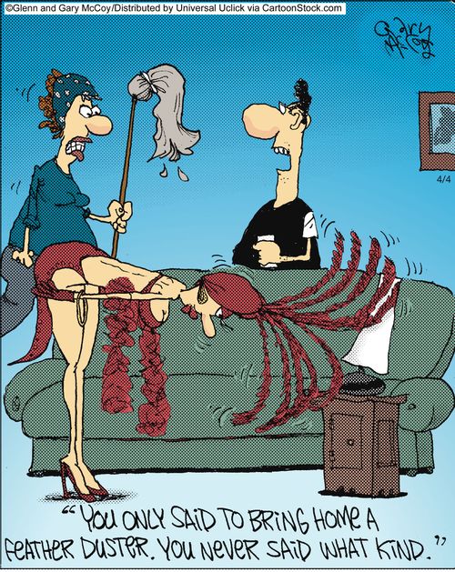 'You only said to bring home a feather duster. You never said what kind.'