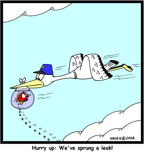 'Hurry up: We've sprung a leak!'