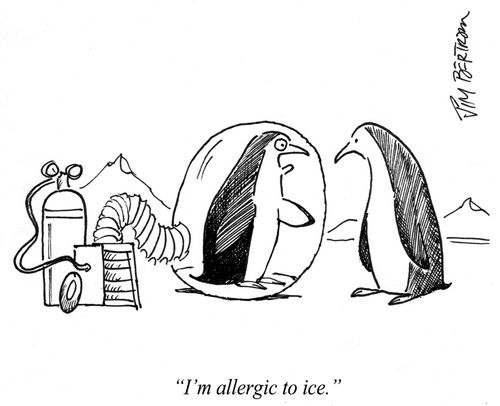 "I'm allergic to ice."