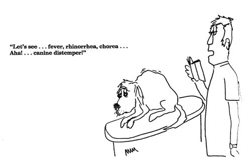 'Let's see...fever, rhinorrhea, chorea...Aha!  canine distemper!'