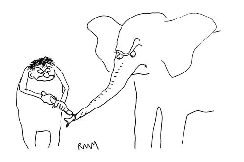 Elephants Trunks.