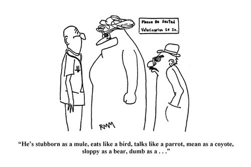 'He's stubborn as a mule, eats like a bird, talks like a parrot, means as a coyote, sloppy as a bear, dumb as a. . ."