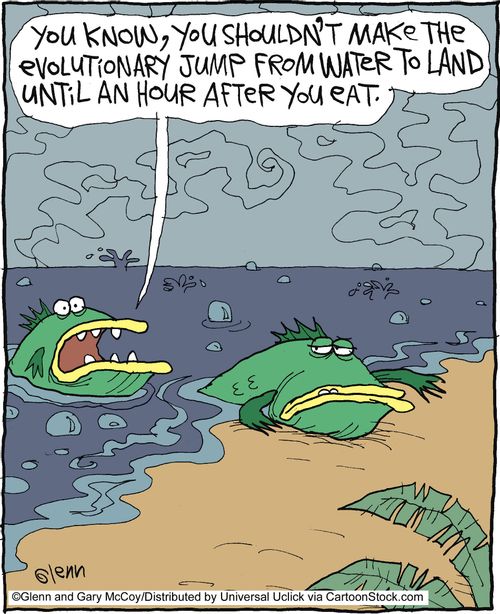 'You know, you shouldn't make the evolutionary jump from water to land until an hour after you eat.'