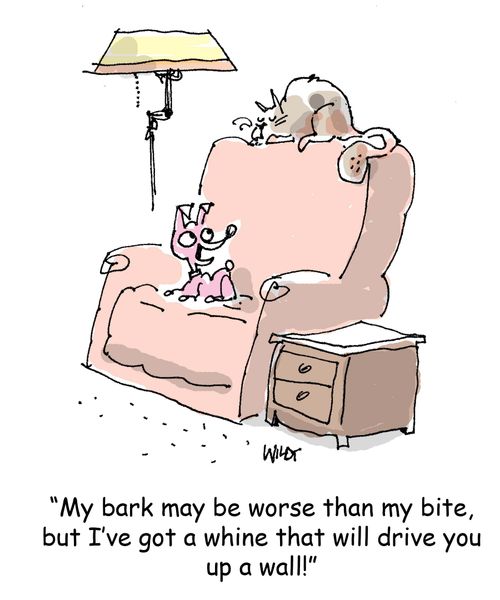 'My bark may be worse than my bite, but I've got a whine that will drive you up a wall!'