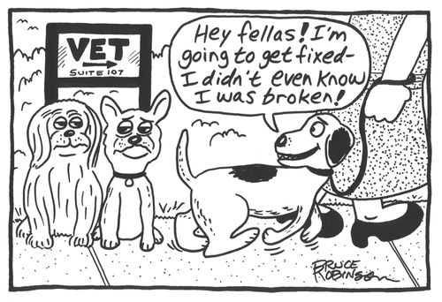 'Hey fellas! I'm going to get fixed - I didn't even know I was broken!'