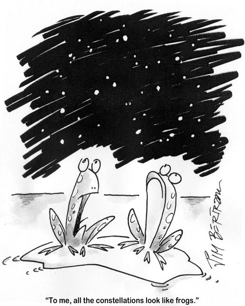 'To me, all the constellations looks like frogs.'