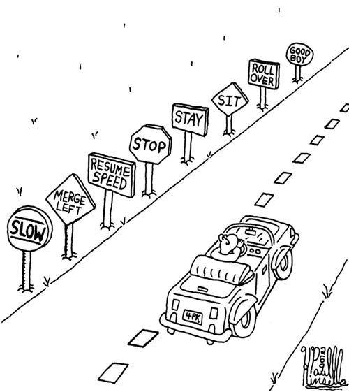 Slow, merge left, resume speed, stop, stay, sit, roll over, good boy!