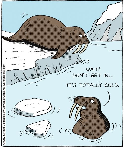 'Wait! Don't get in. . . It's totally cold.'