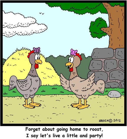 'Forget about going home to roost, I say let's live a little and party!'