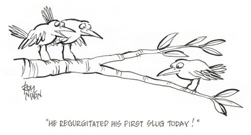 'He regurgitated his first slug today.'