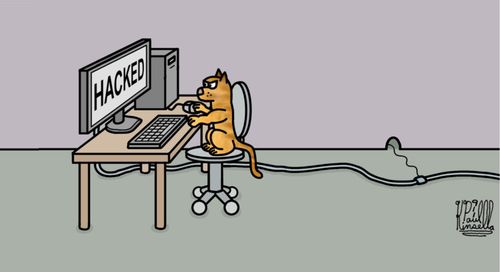 A mouse hacks into a cats computer.