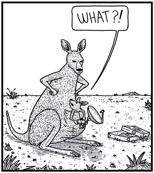 'What?!' 