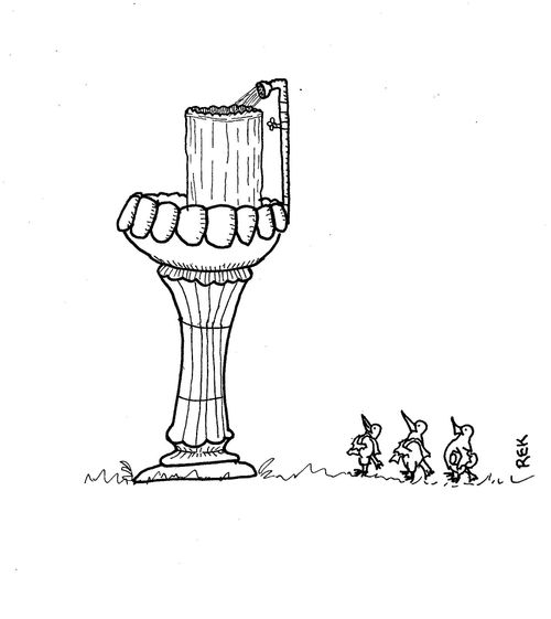 Birds are waiting in line for a bird shower.