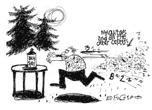 Mosquitoes and all the other critters.