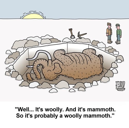 'Well...It's woolly. And it's mammoth. So it's probably a woolly mammoth.'