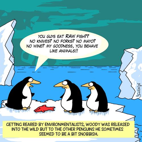 'You guys eat RAW fish? No knives? No forks? No mayo? No wine? My goodness, you behave like animals!'