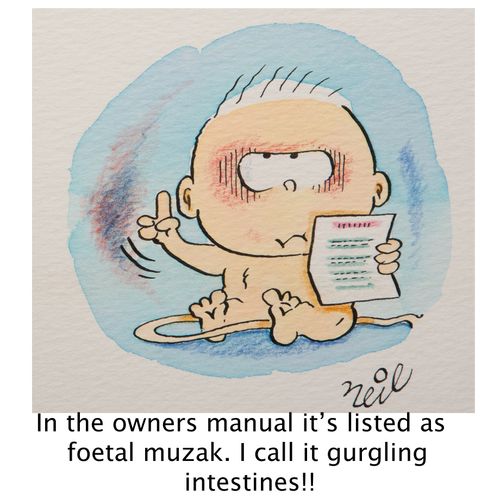 'In the owners manual it's listed as Foetal muzak. I call it gurgling intestines!!'