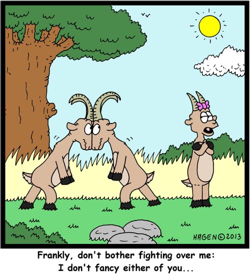 'Frankly, don't bother fighting over me: I don't fancy either of you...'