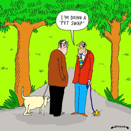 'I'm doing a 'pet swap'.'