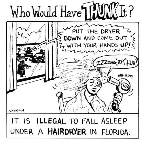 It is illegal to fall asleep under a hairdryer in Florida.