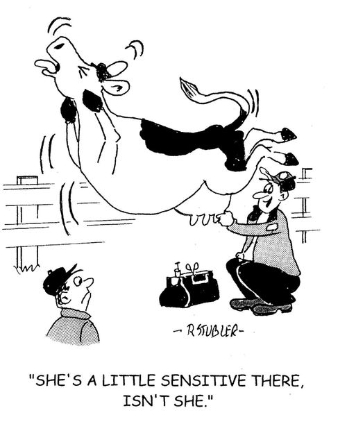'She's a little sensitive there, isn't she.'