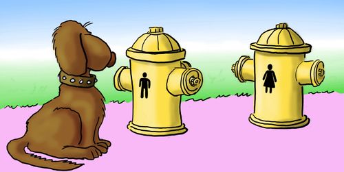 Dog fire hydrants